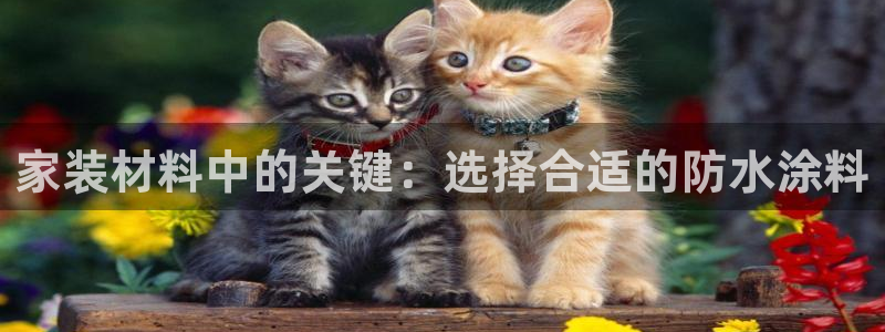 和记平台下载：家装材料中的关键：选择合适的防水涂料