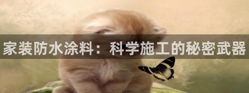 和记国际官网官网