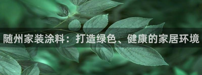 和记国际开户：随州家装涂料：打造绿色、健康的家居环境