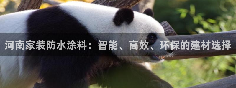 和记Ag：河南家装防水涂料：智能、高效、环保的建材选择