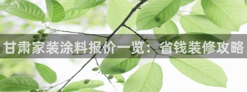 和记官方直营：甘肃家装涂料报价一览：省钱装修攻略