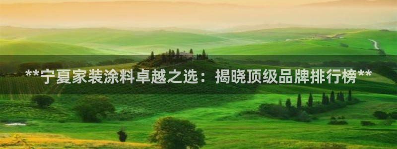 和记网页版：**宁夏家装涂料卓越之选：揭晓顶级品牌排行榜**