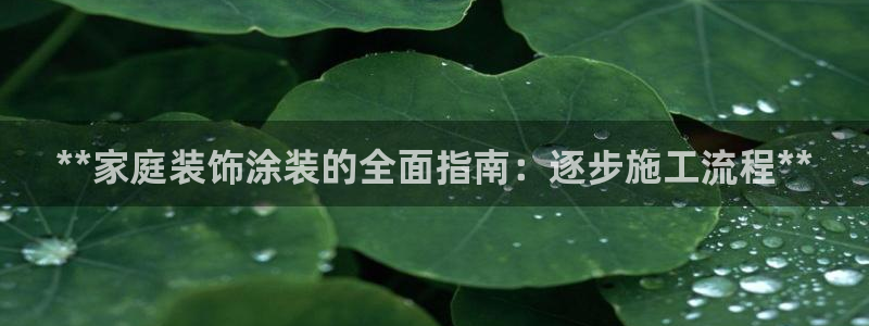 和记平台：**家庭装饰涂装的全面指南：逐步施工流程**