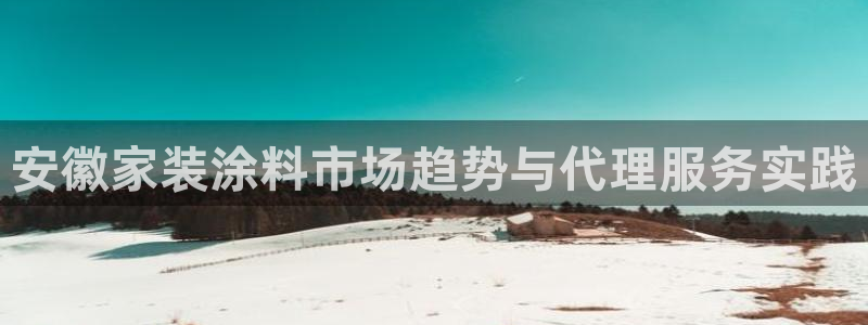 和记官网登录：安徽家装涂料市场趋势与代理服务实践
