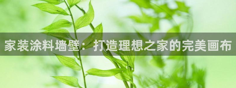 青岛大生和记餐饮管理有限公司：家装涂料墙壁：打造理想之家的完美画布