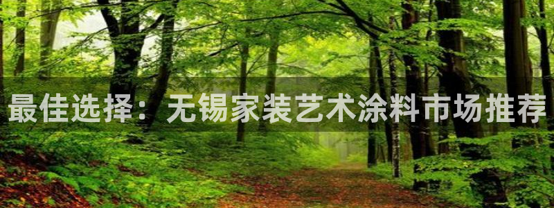 ag和记app：最佳选择：无锡家装艺术涂料市场推荐