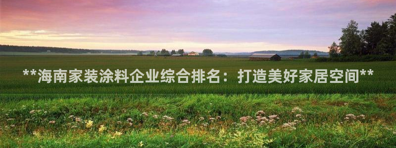 和记注册有什么送的：**海南家装涂料企业综合排名：打造美好家居空间**