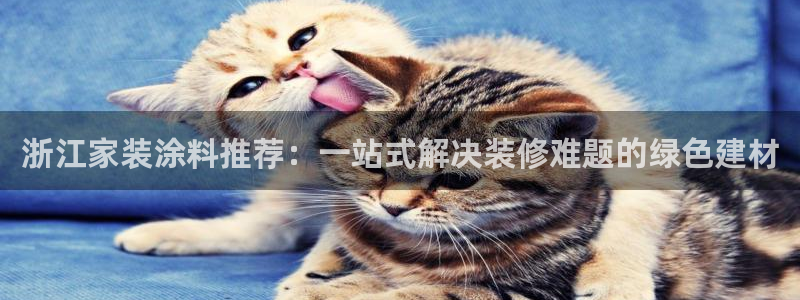 和记广告女主角