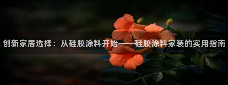 和记官方平台：创新家居选择：从硅胶涂料开始——硅胶涂料家装的