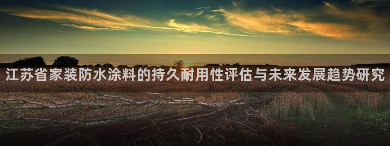 和记平台官网：江苏省家装防水涂料的持久耐用性评估与未来发展趋