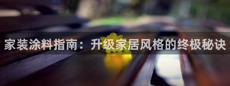 和记国际：家装涂料指南：升级家居风格的终极秘诀