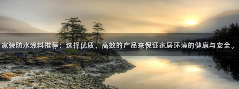 和记港口：家装防水涂料推荐：选择优质、高效的产品来保证家居环