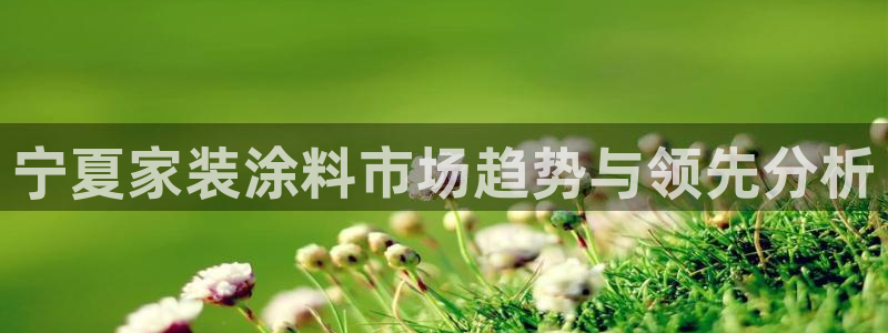 和记 中国首页：宁夏家装涂料市场趋势与领先分析