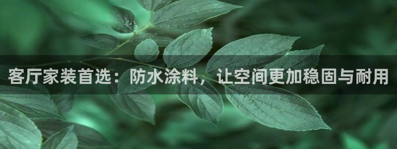 和记官网官方网站：客厅家装首选：防水涂料，让空间更加稳固与耐用
