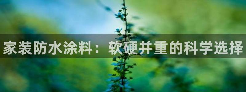 和记h88游戏：家装防水涂料：软硬并重的科学选择
