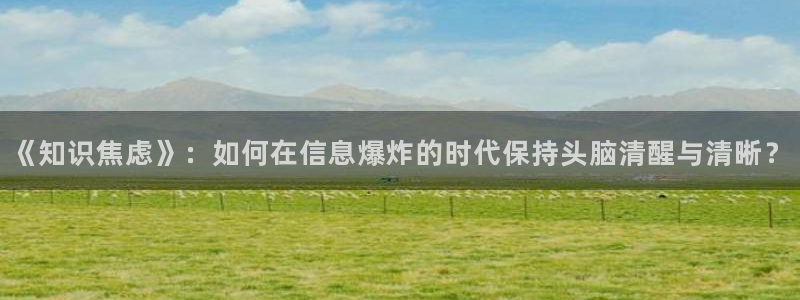 全球进化后我站在txt宝书网：《知识焦虑》：如何在信息爆炸的时代保持头脑清醒与清晰？