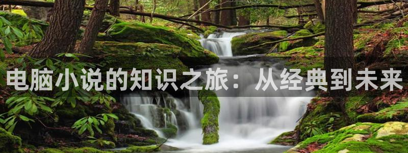 宝书网小说下载：电脑小说的知识之旅：从经典到未来