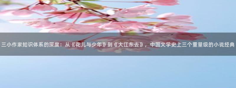小白花他不装了txt宝书网：三小作家知识体系的深度：从《花儿与少年》到《大江东去》，中国文学史上三个重量级的小说经典
